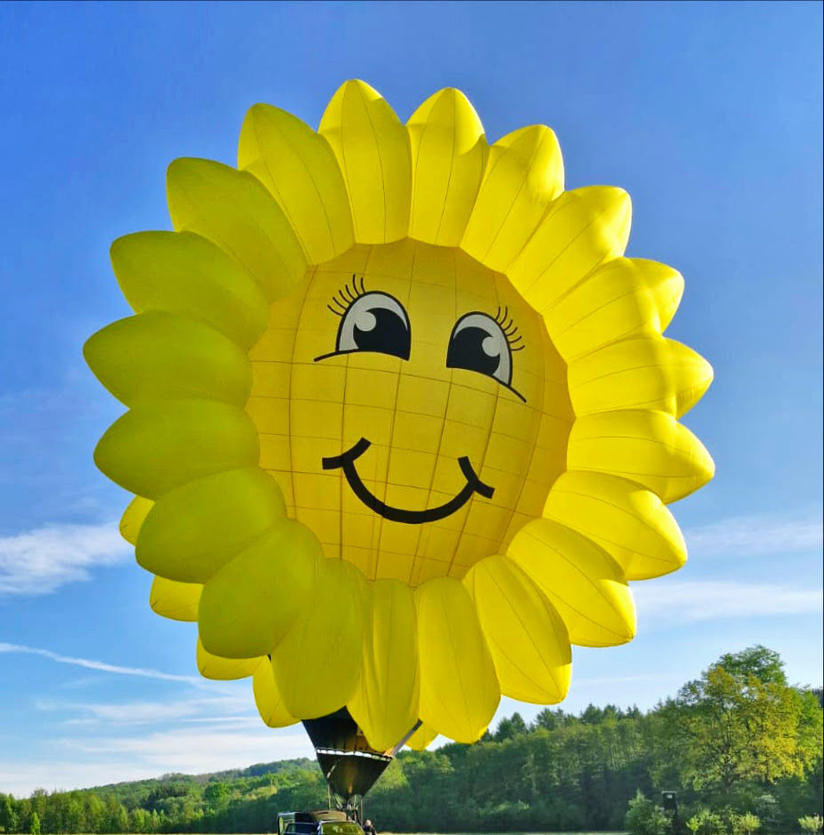 Zonnebloem
